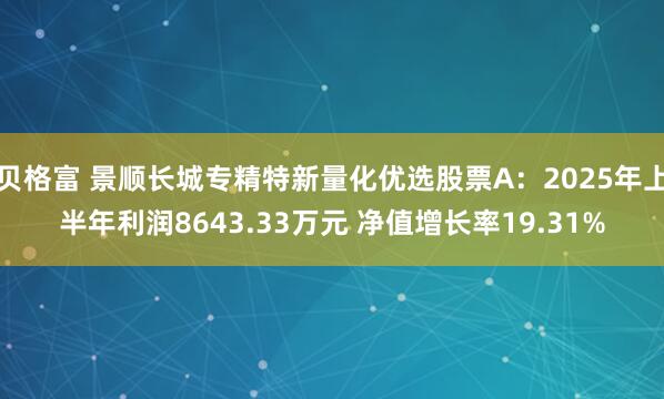 贝格富 景顺长城专精特新量化优选股票A：2025年上半年利润8643.33万元 净值增长率19.31%