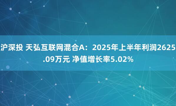 沪深投 天弘互联网混合A：2025年上半年利润2625.09万元 净值增长率5.02%