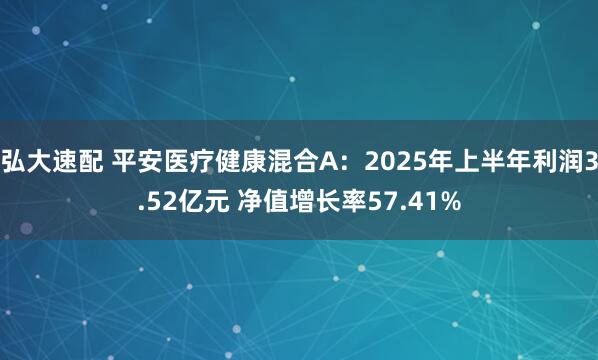弘大速配 平安医疗健康混合A：2025年上半年利润3.52亿元 净值增长率57.41%