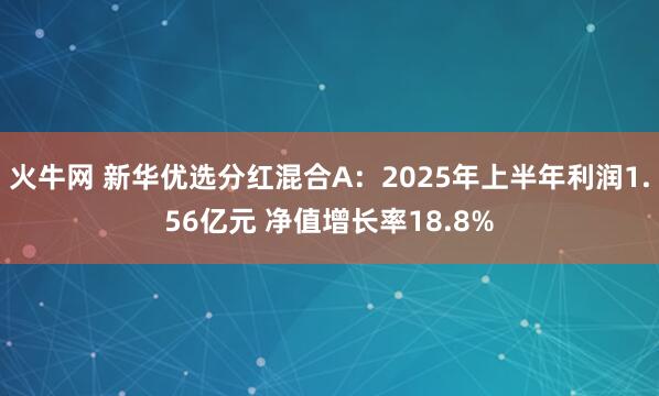 火牛网 新华优选分红混合A：2025年上半年利润1.56亿元 净值增长率18.8%