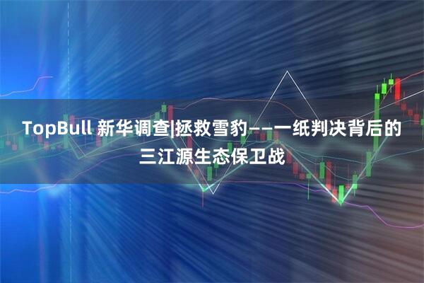 TopBull 新华调查|拯救雪豹——一纸判决背后的三江源生态保卫战