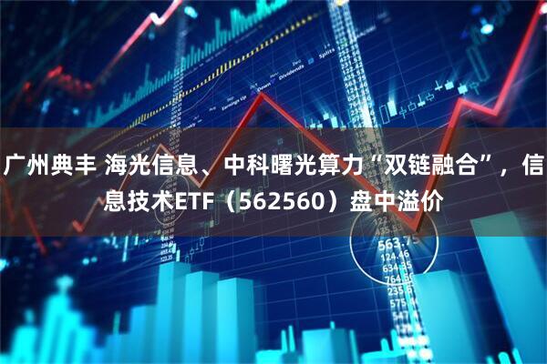 广州典丰 海光信息、中科曙光算力“双链融合”，信息技术ETF（562560）盘中溢价